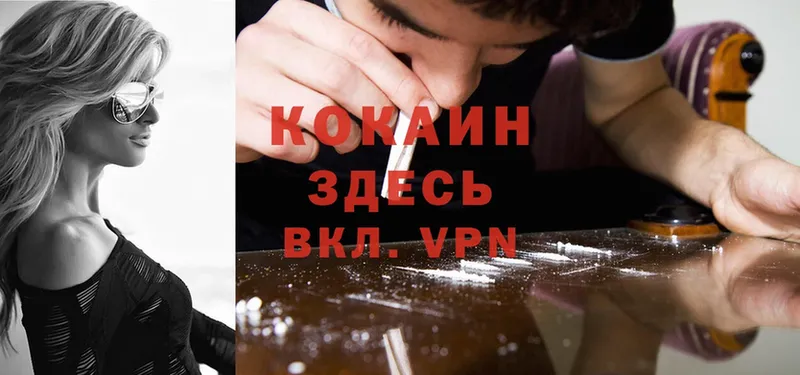 Cocaine Fish Scale  где купить   Асино 